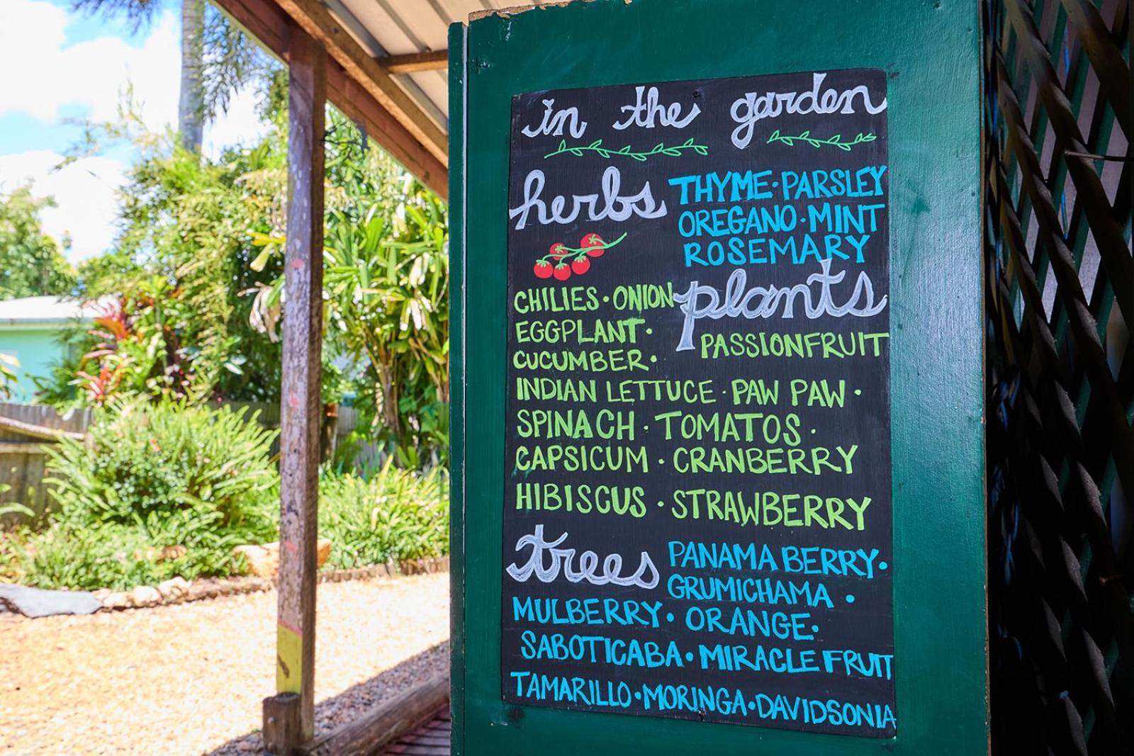 On The Wallaby Eco Lodge Yungaburra Eksteriør bilde